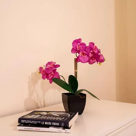 公寓 Carlotta - Italian Living